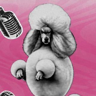 Podcast Pudelka