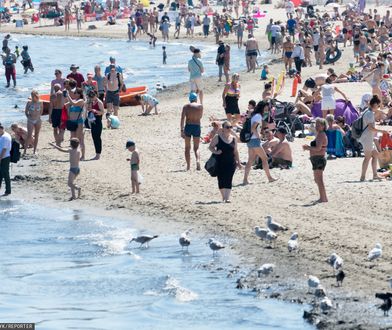 Kiedy jechać na wakacje? Synoptyk IMGW mówi wprost