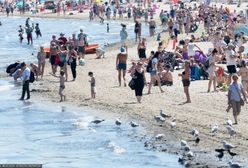 Kiedy jechać na wakacje? Synoptyk IMGW mówi wprost