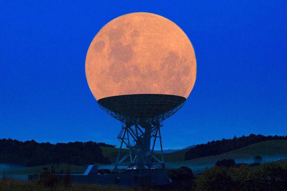 Nie uwierzycie, że te zdjęcia powstały bez pomocy Photoshopa 15