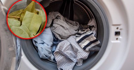 Dodaj kilka sztuk do prania. Zapomnisz o brzydkim zapachu