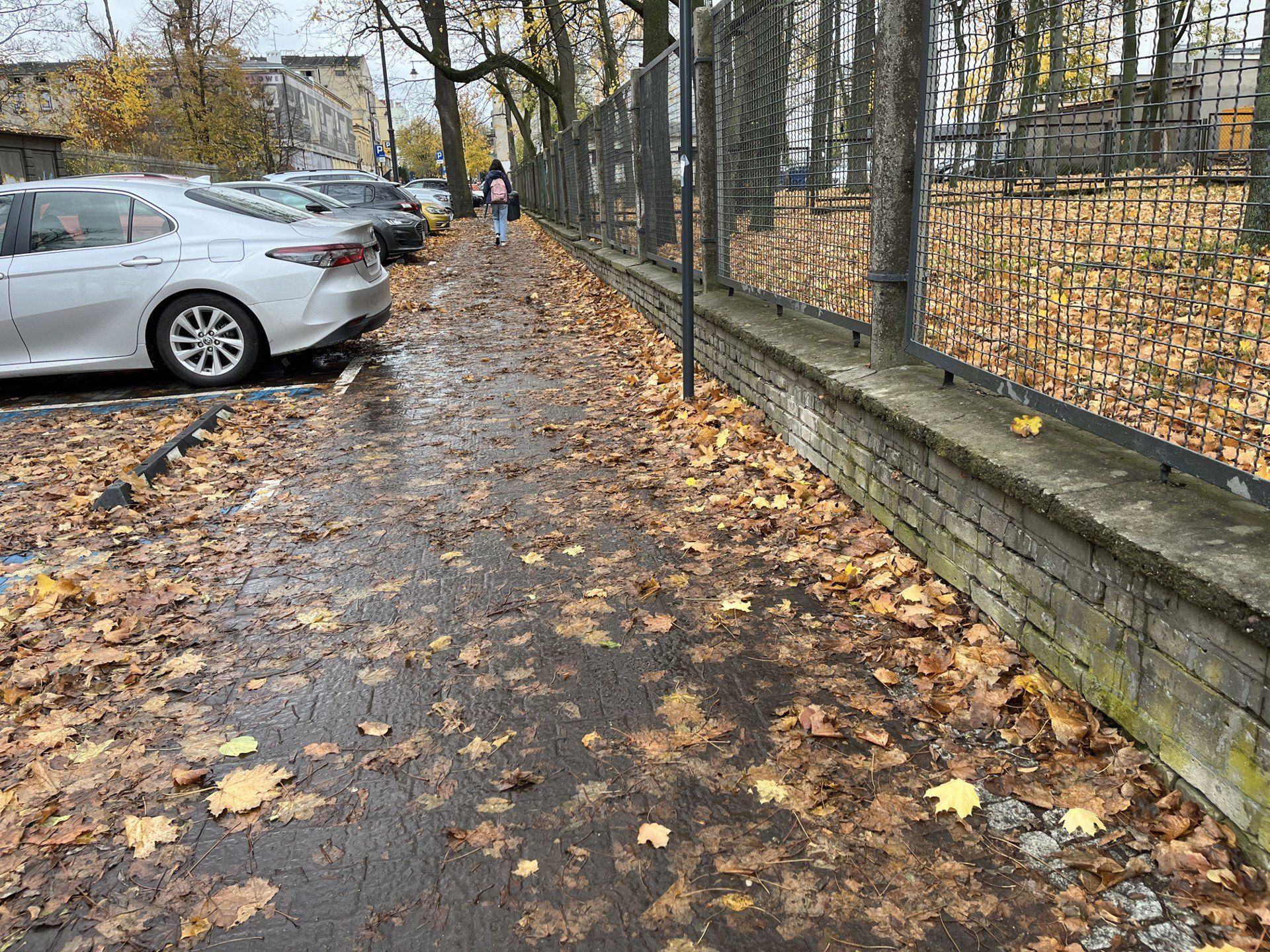 Liście na chodnikach w Łodzi