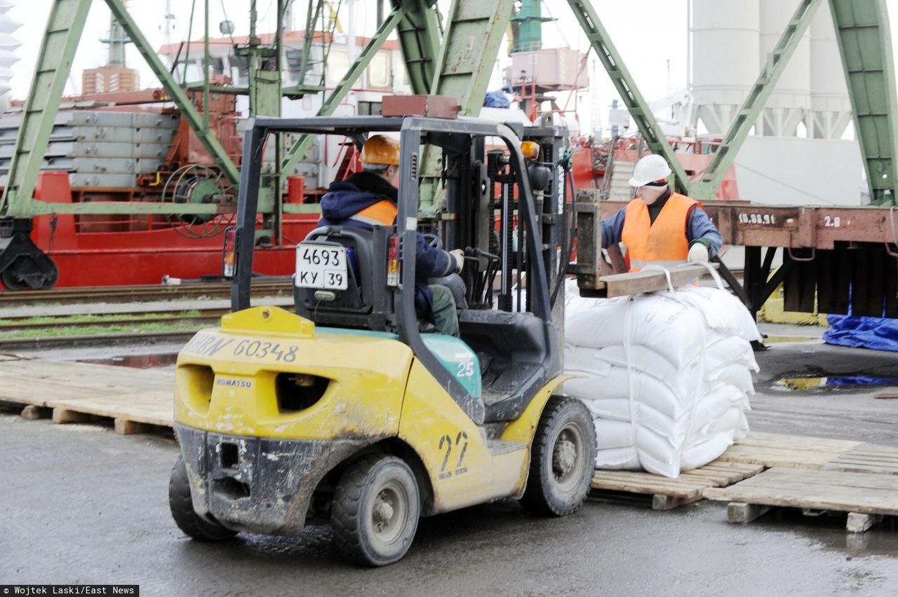 ZUS. Pracodawcy oszczędzają na ubezpieczeniach studentów. W razie wypadku lub choroby ci zostają z niczym