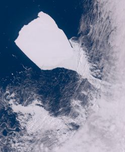 A23a ruszyła z miejsca po 30 latach. Naukowcy zafascynowani