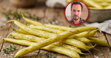 Nigdy tam nie przechowuj fasolki szparagowej. Ekspert wskazuje powód