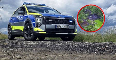 Nagrał osoby wyrzucające śmieci. Policja szybko wymierzyła kary