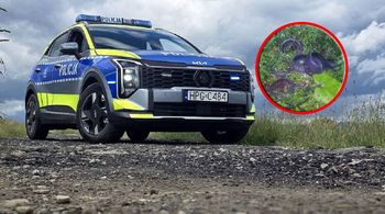 Nagrał osoby wyrzucające śmieci. Policja szybko wymierzyła kary