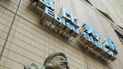 Oznakowanie OLED w Japonii 1