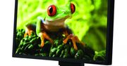 Nowe monitory NEC