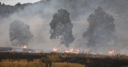 Ogień silniejszy przez zmianę klimatu. Naukowcy nie mają wątpliwości