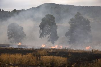 Ogień silniejszy przez zmianę klimatu. Naukowcy nie mają wątpliwości