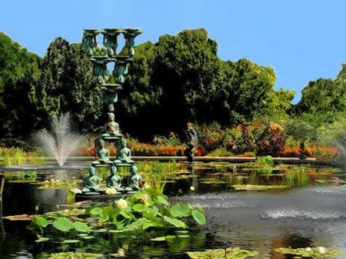 TOP 5: Fascynujące ogrody botaniczne w USA 2