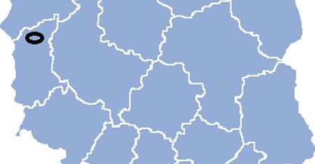 Miasta w Polsce. Czy potrafisz wskazać, gdzie się znajdują na mapie?