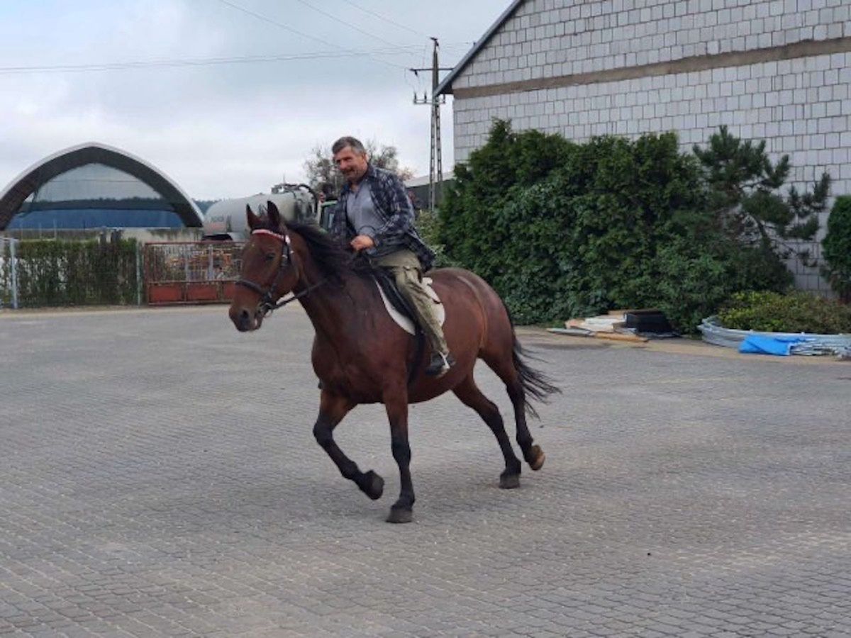 Zaczynał od 15 krów, dziś zarabia miliony. Ludzie wątpili w ten biznes
