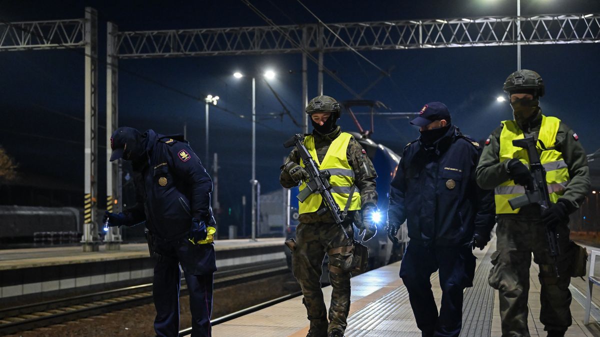 Lublin, 19.11.2025. Funkcjonariusze Straży Ochrony Kolei i Wojsk Obrony Terytorialnej podczas patrolu na Dworcu Głównym PKP w Lublinie, 19 bm. Patrolowanie linii kolejowych we wschodniej Polsce związane jest z dwoma aktami dywersji, do których doszło na trasie Warszawa ? Lublin. (sko) PAP/Wojtek Jargiło