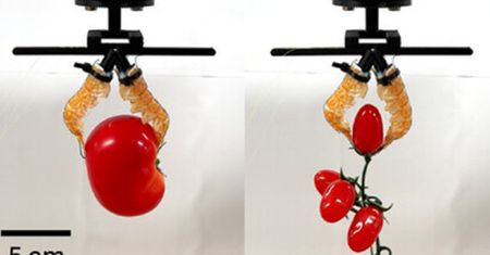 Z kuchni do laboratorium. Szwajcarzy zbudowali robota z odpadków