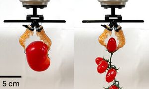 Z kuchni do laboratorium. Szwajcarzy zbudowali robota z odpadków