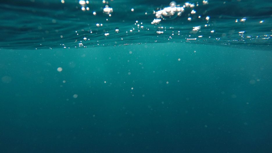 Administracja Trumpa z nadzieją spogląda w głębiny oceanu.