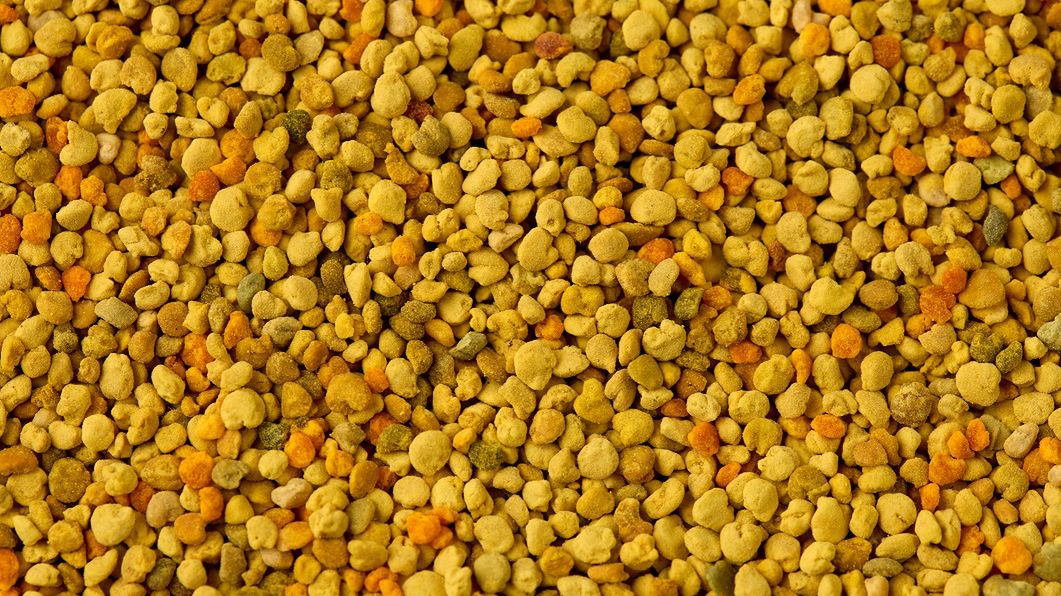 Naturalny sposób na odporność w sezonie infekcji. Zawiera aż 250 substancji odżywczych