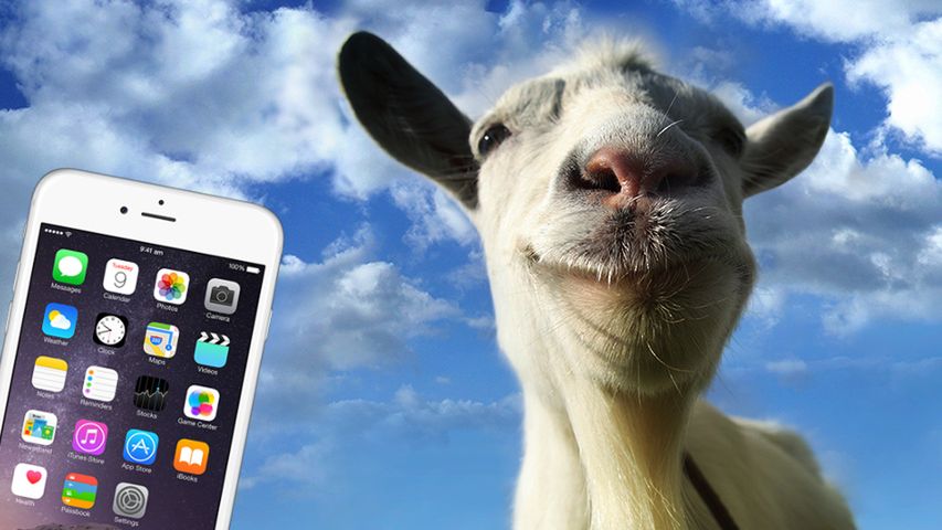 Lubisz iPhone'y i kozy albo jesteś Chińczykiem? Oto oferta dla Ciebie 1