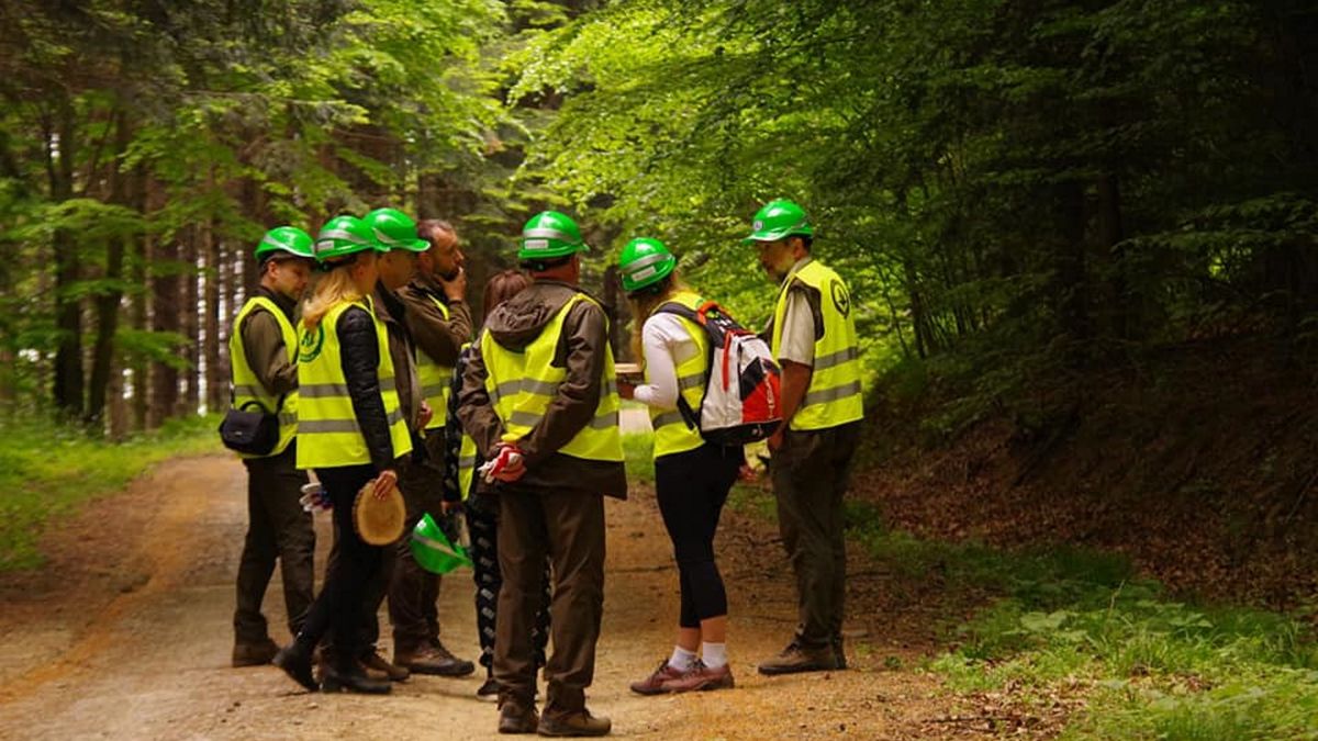 Zdjęcie ilustracyjne