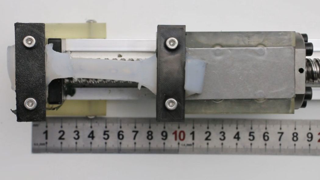 FlexRAM - elastyczny RAM