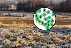 Do końca tygodnia zima. Później duże ocieplenie