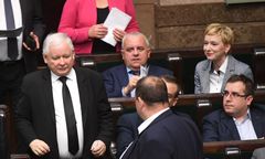 Były poseł PiS będzie bić się w klatce. Podano datę