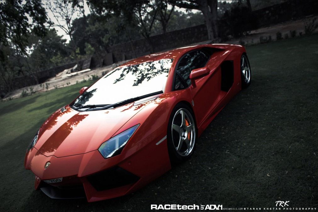 Lamborghini Aventador, felgi ADV.1 i słoń - niecodzienna sesja zdjęciowa [galeria] 8