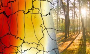 Nadchodzi babie lato. Nawet ponad 25 stopni. Padła data