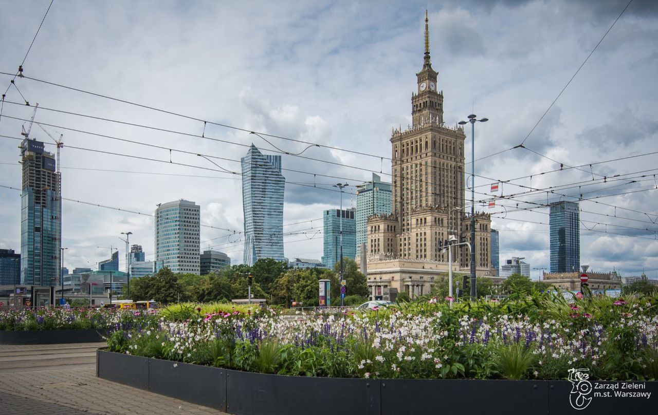 Warszawa. Miasto apeluje o ograniczenie koszenia i nieużywanie dmuchaw