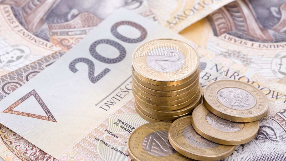 banknoty, biznes, bogactwo, gotówka, handel, kasa, kupno, kupowanie, polskie, portfel, sprzedawanie, sprzedaż, waluta, kryzys