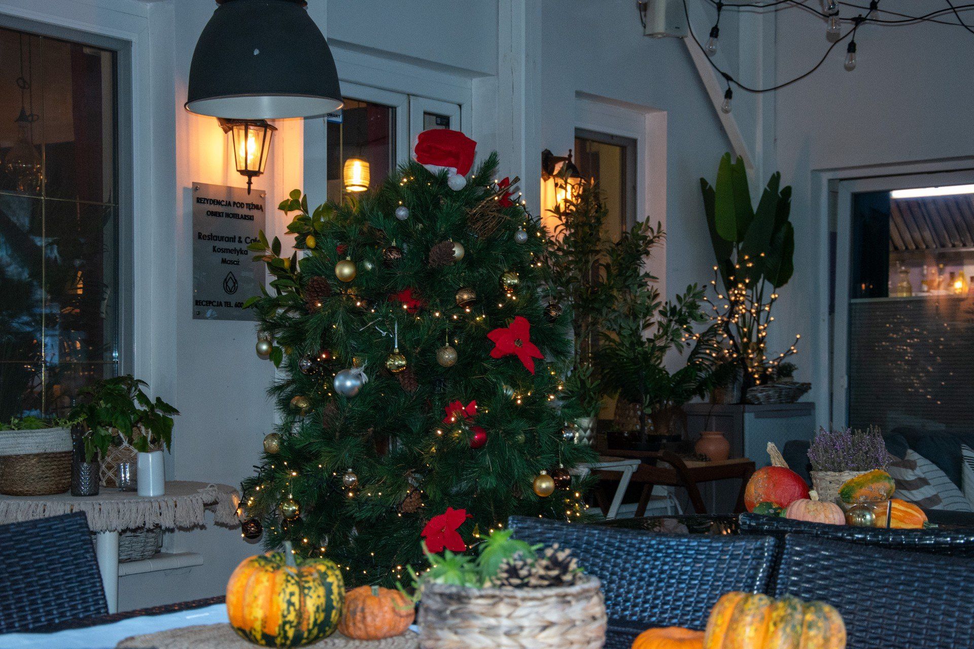 Park Solankowy w listopadzie