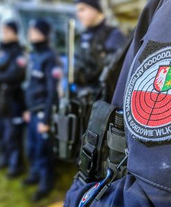 Rano wyszedł na grzyby. Trwają intensywne poszukiwania