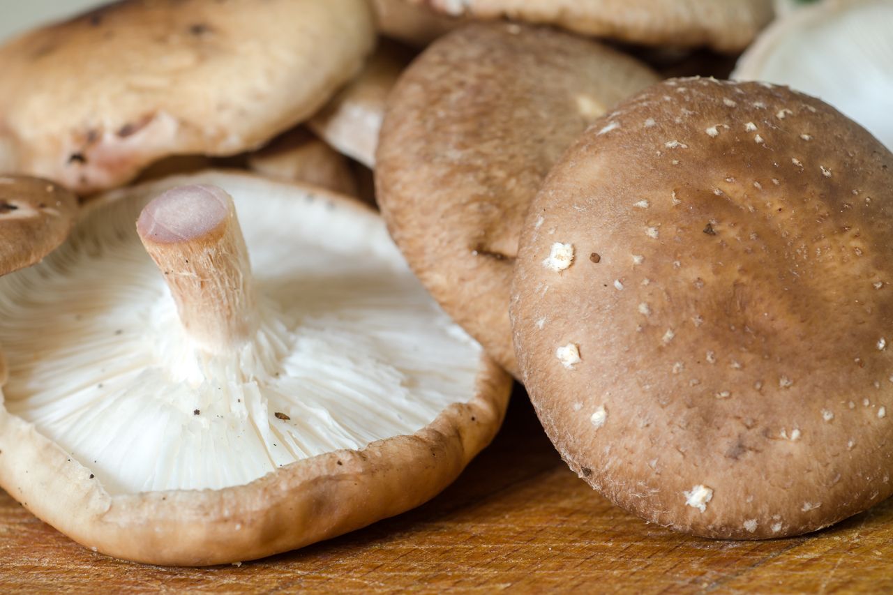 Mushroom, shiitake are suitable for many dishes