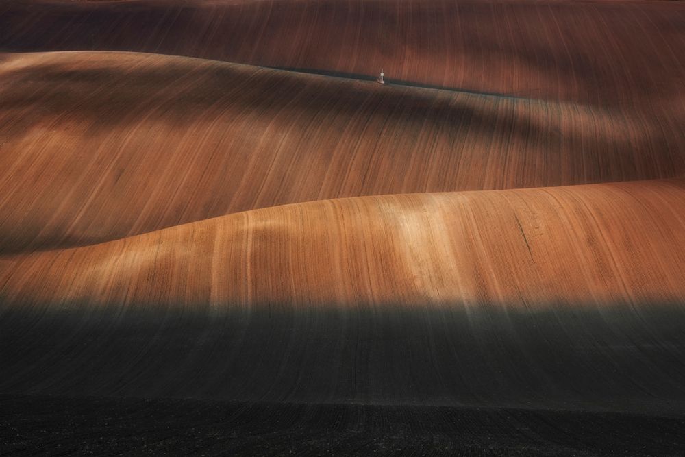 21 reprezentantów Polski wyróżnionych na Sony World Photography Awards 2018 7