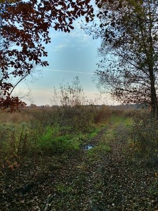 Motorola One z HDR