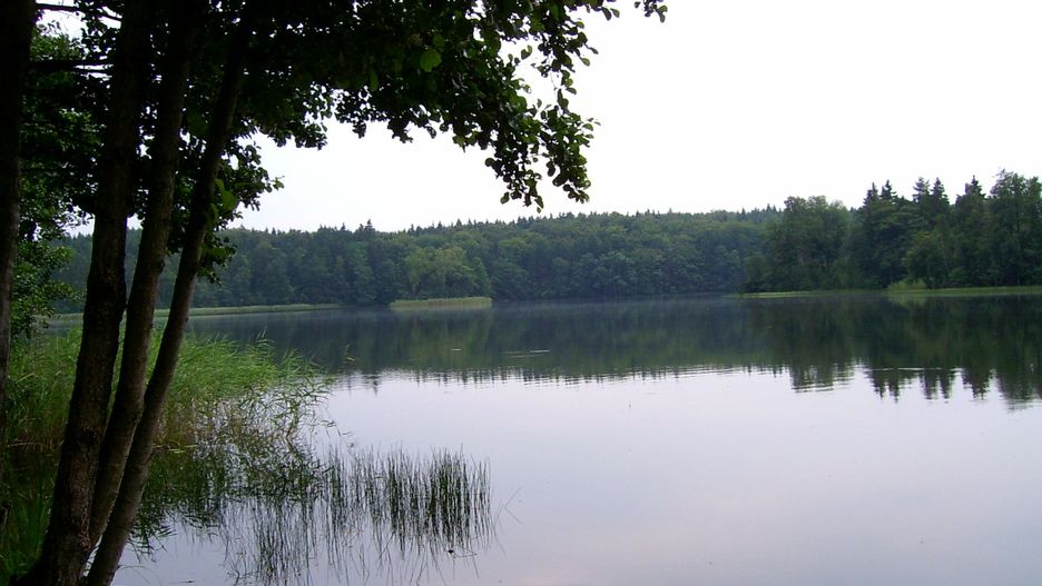 Białe Jezioro w gminie Kartuzy na północ od Prokowa