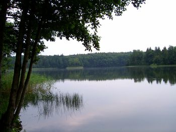 Grzybno: Asfalt w lesie, niepokój na plaży. Kontrowersje wokół nowej drogi nad Jeziorem Białym