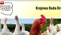 ART.&amp;PR zajmie się ochroną wizerunku branży drobiarskiej