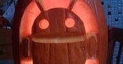 HTC z Androidem 2.1 (Flan) na wideo!