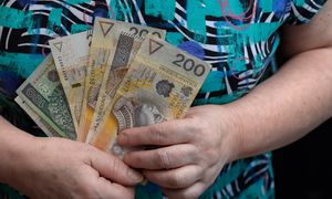 Polka pobiera emeryturę z Irlandii. Skarbówka zażądała podatku