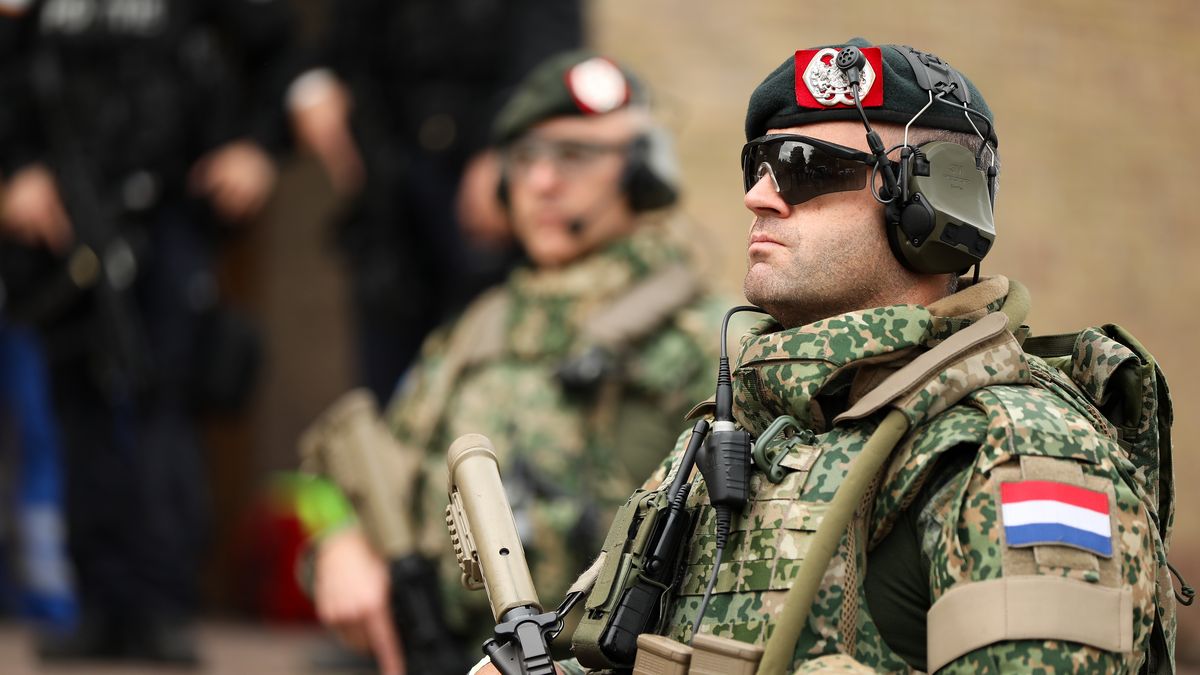 Holendrzy chcą zwiększyć liczebność armii