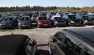 Takie samochody kupują Polacy. "Grozi nam niekontrolowany zalew"