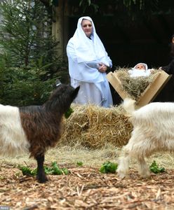 Żywe szopki bożonarodzeniowe 2022 - Kraków, Jerzmanowice, Jastrzębie-Zdrój