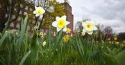 Wrocław: Prognoza pogody. Czy czeka nas słoneczny weekend?