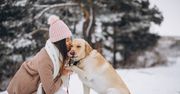 Zimowy niezbędnik dla psa: Jak chronić psie łapy w mroźne dni?