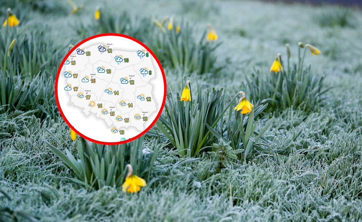 wiadomości,aktualności,WP Wiadomości Prognoza pogody na 5 dni. Pod koniec tygodnia przyjdzie wiosna