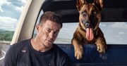 Film producentów hitów Magic Mike, Magic Mike XXL, Świat w płomieniach, 22 Jump Street, Ocean’s 13, Na skraju jutra.