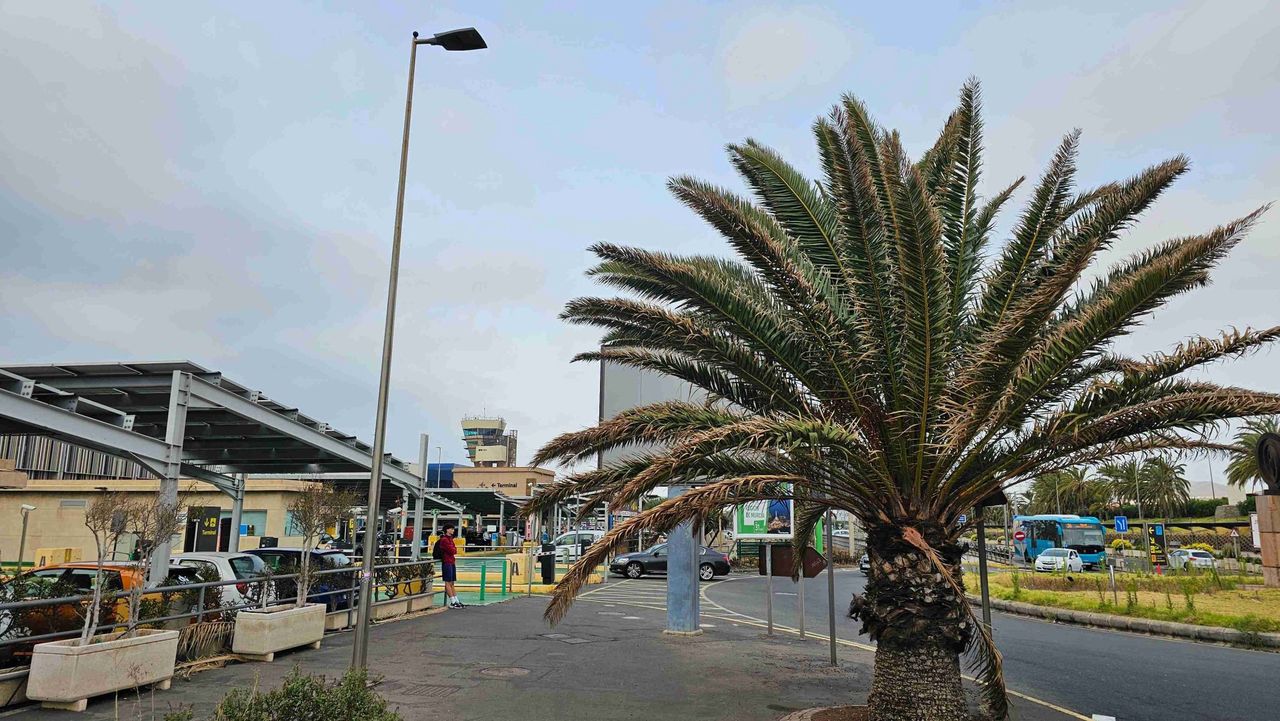 Gran Canaria. Tragedia na parkingu przy lotnisku